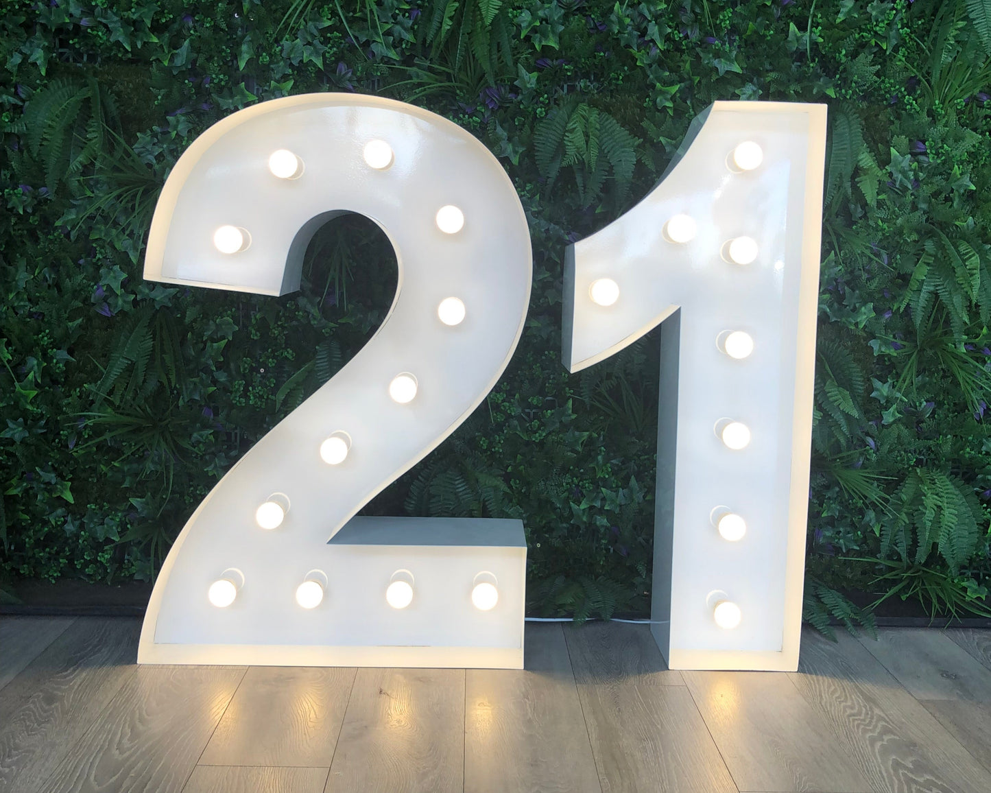 Giant Light Up Letters - Birthday Numbers