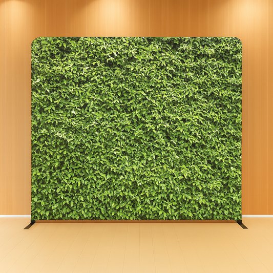 Backdrop 18